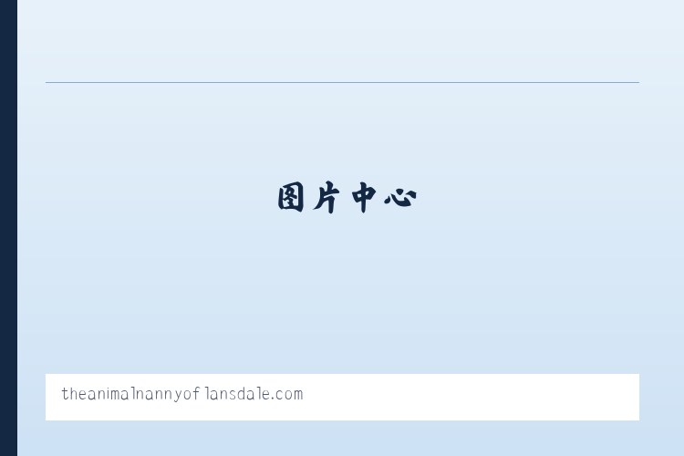The Animal Nanny of Lansdale Pet Sitter Dog Walker 列表图