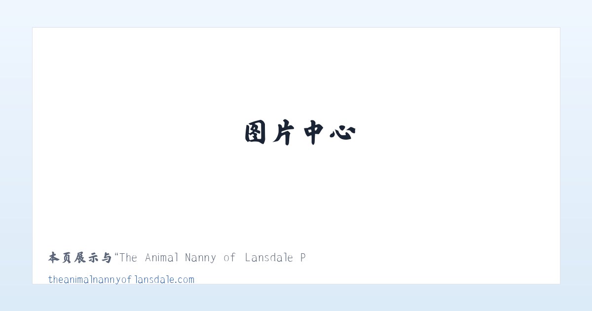 The Animal Nanny of Lansdale Pet Sitter Dog Walker 主图