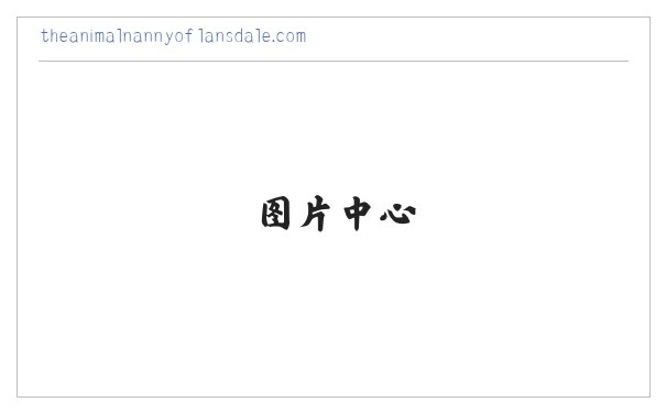 The Animal Nanny of Lansdale Pet Sitter Dog Walker 缩略图